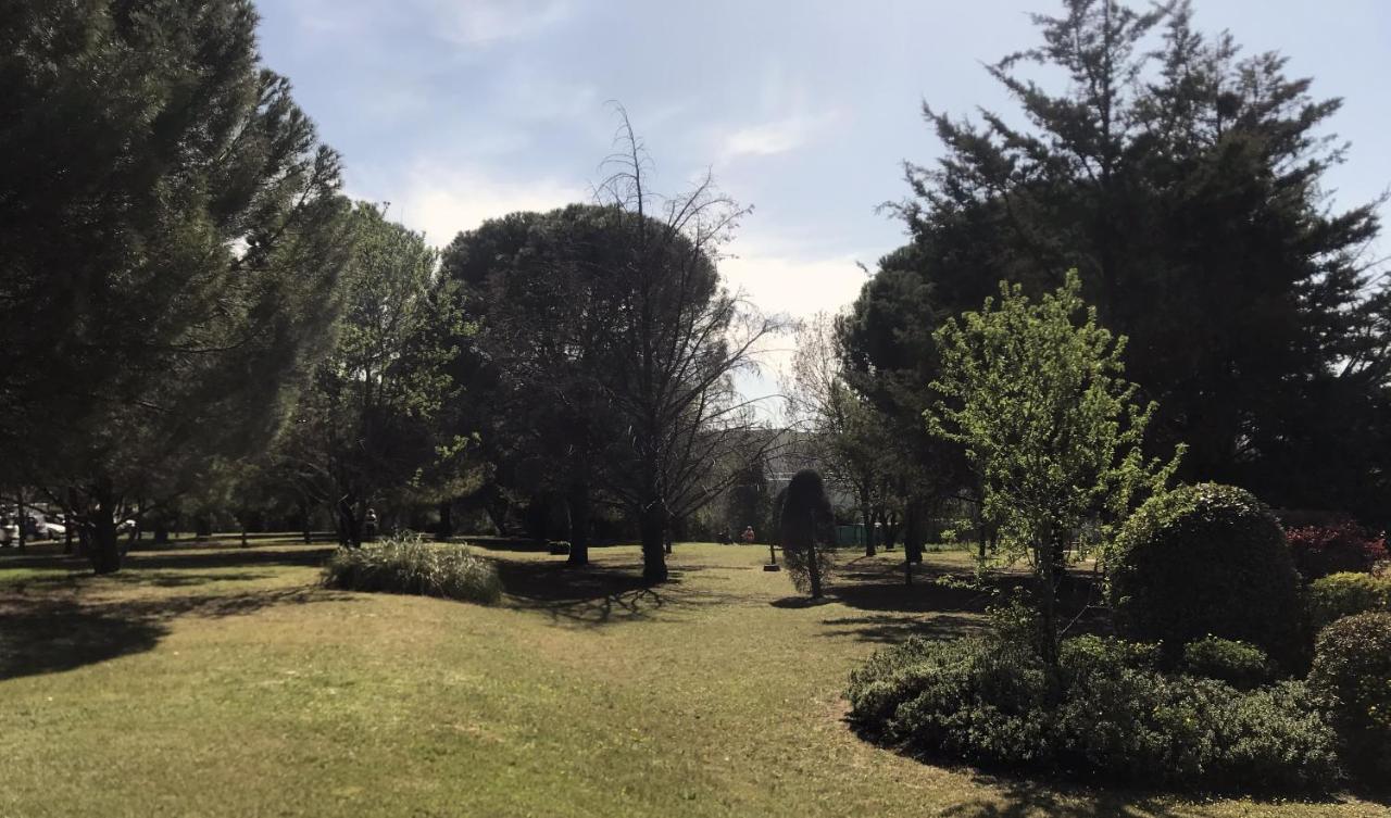 Studio Soleil Et Verdure - Montpellier Celleneuve Bagian luar foto